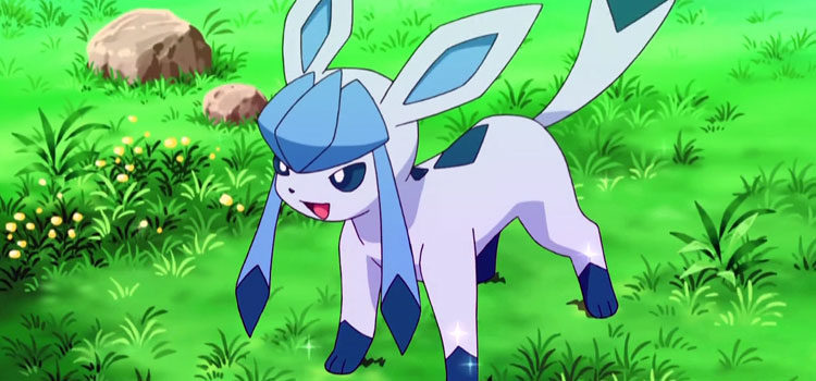 Glaceon in the Pokemon Anime