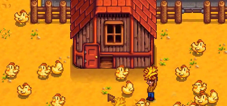 Golden Chickens in Stardew Valley