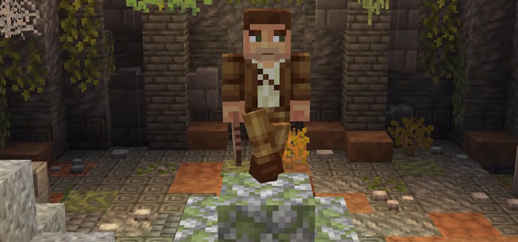 Indiana Jones MC skin closeup