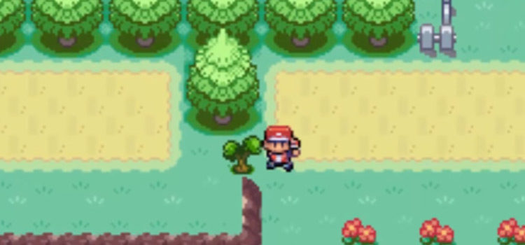 Kanto Route 15 Screenshot from Pokemon FRLG