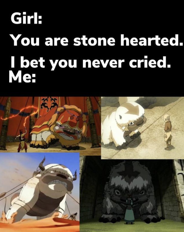 You are stone hearted, I bet you never cried. Avatar meme