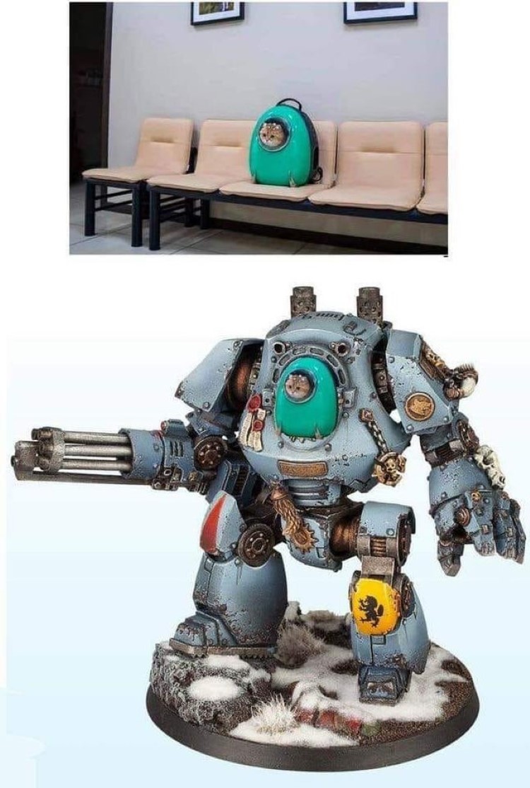 Warhammer cat suit meme