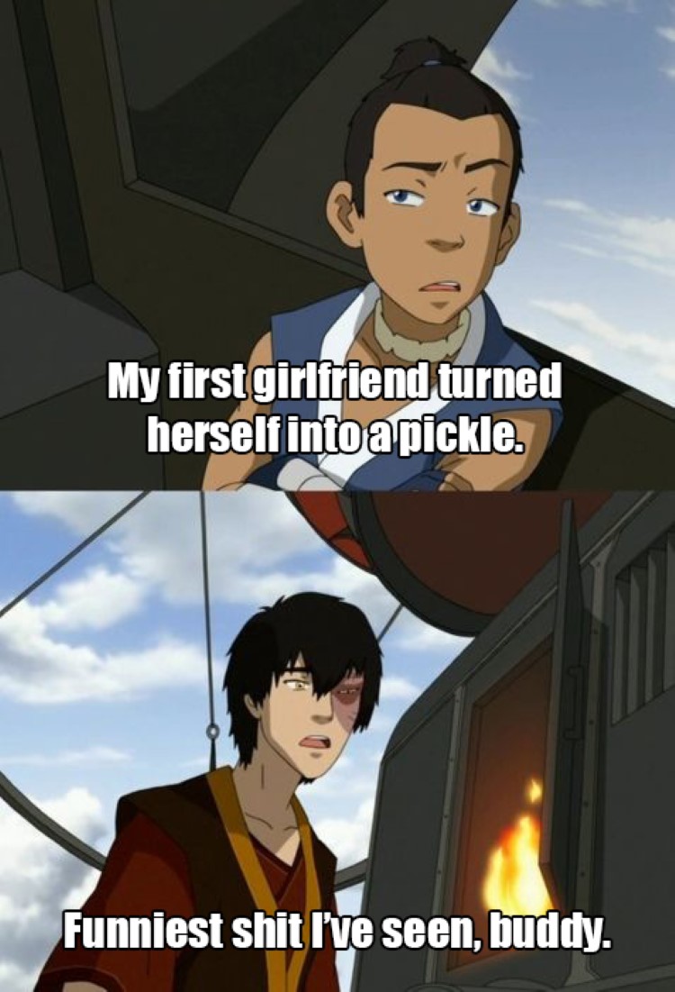 Sokka and Zuko meme - turned herself into  a pickle, funniest shit Ive seen buddy